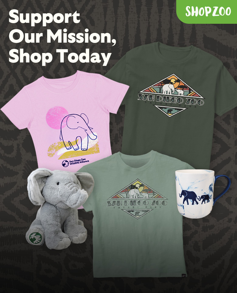 Elephant ShopZoo collection