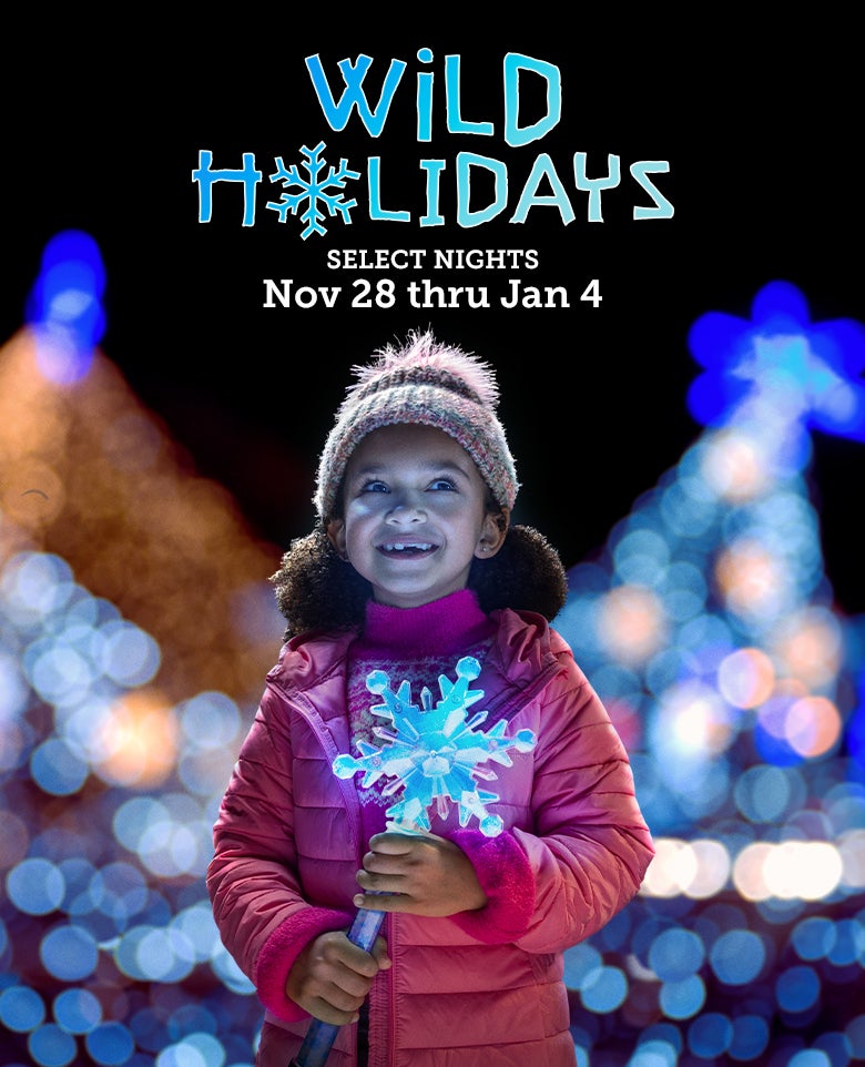 Wild Holidays 2025Select Nights Nov 28 - Jan 4