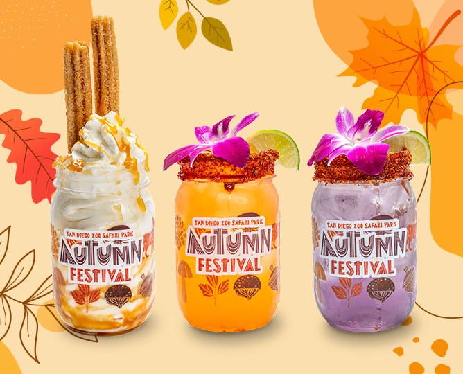 3 festive fall drinks for autumn festival