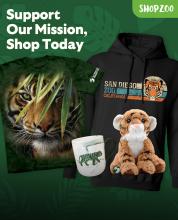 Support Our Mission, Shop Today