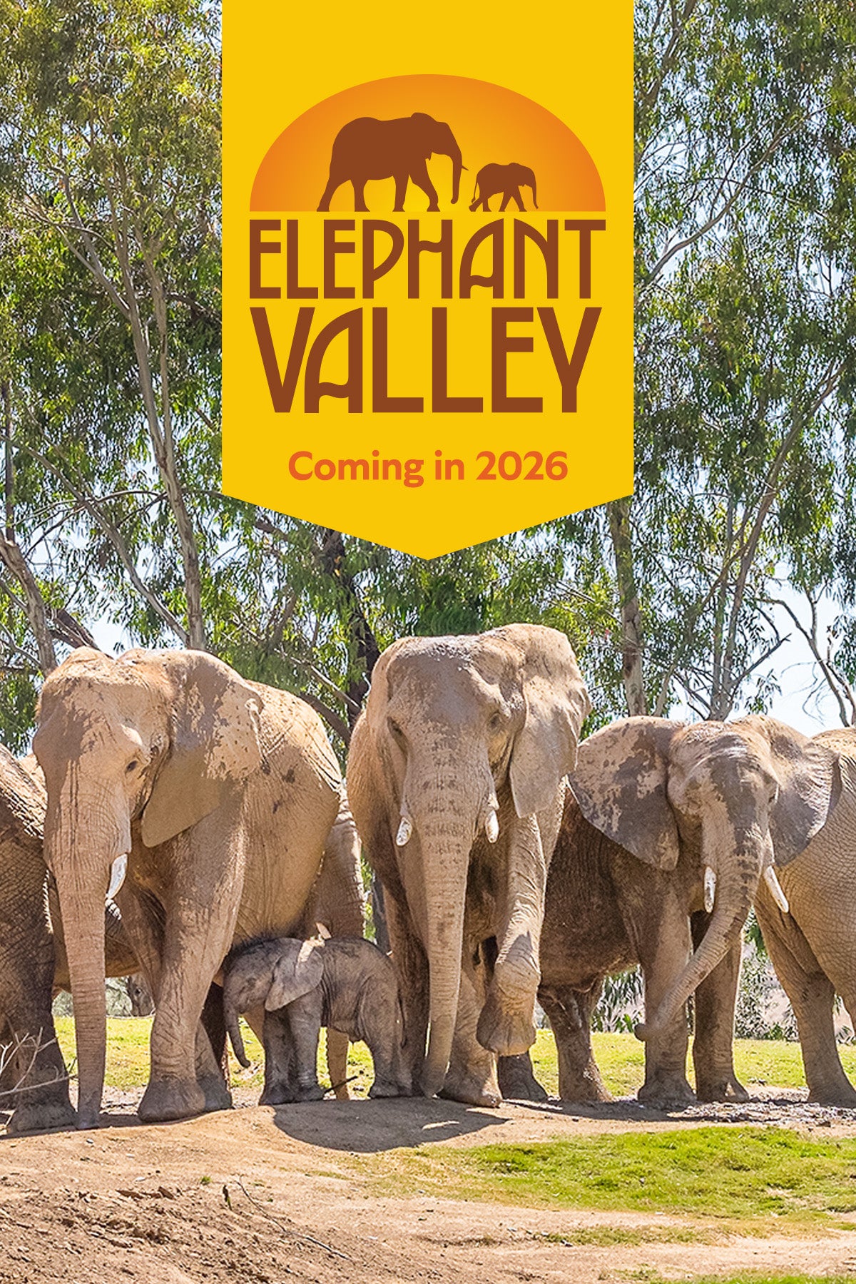 elephant herd image with Elephant Valley logo