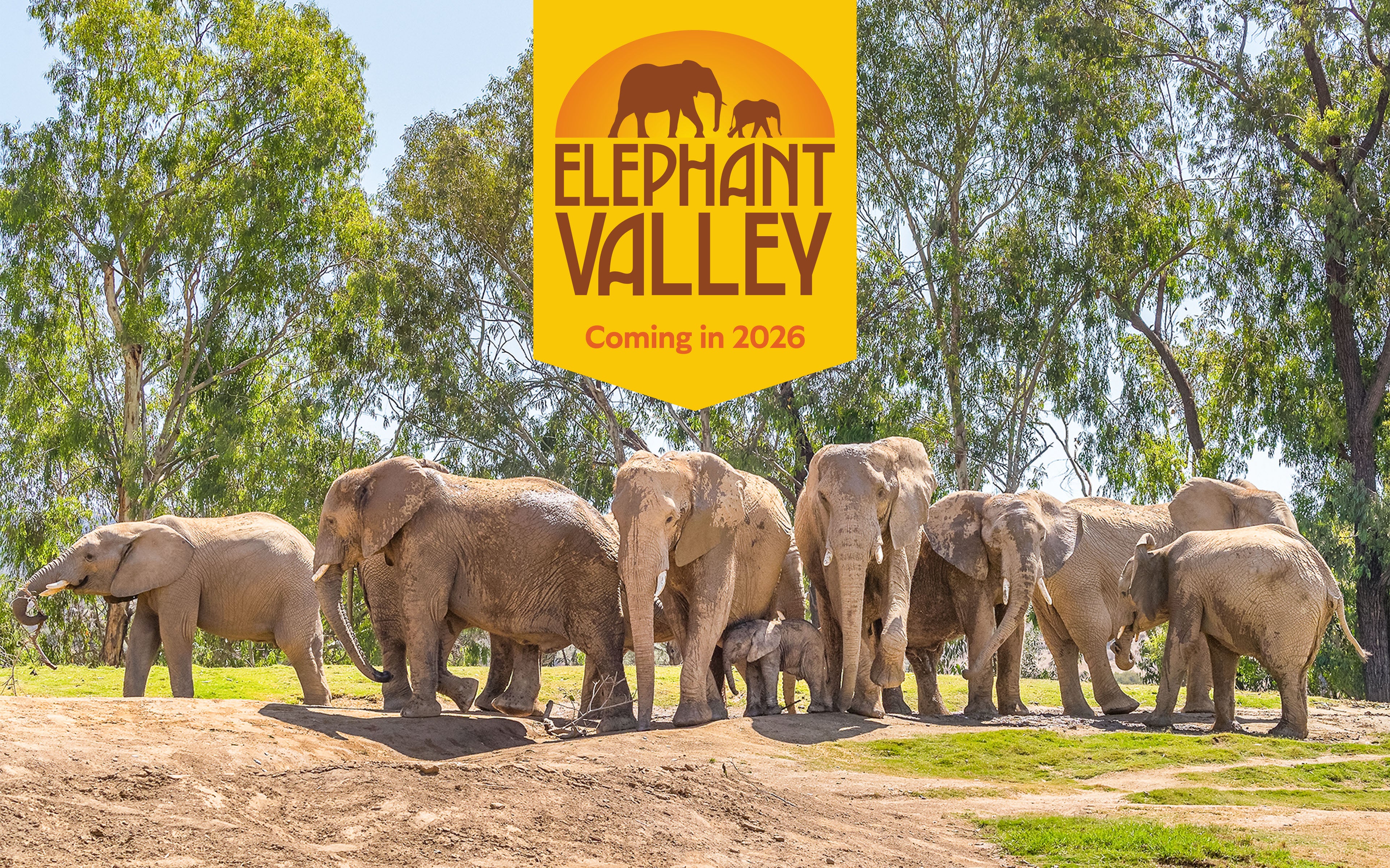 elephant herd image with Elephant Valley logo