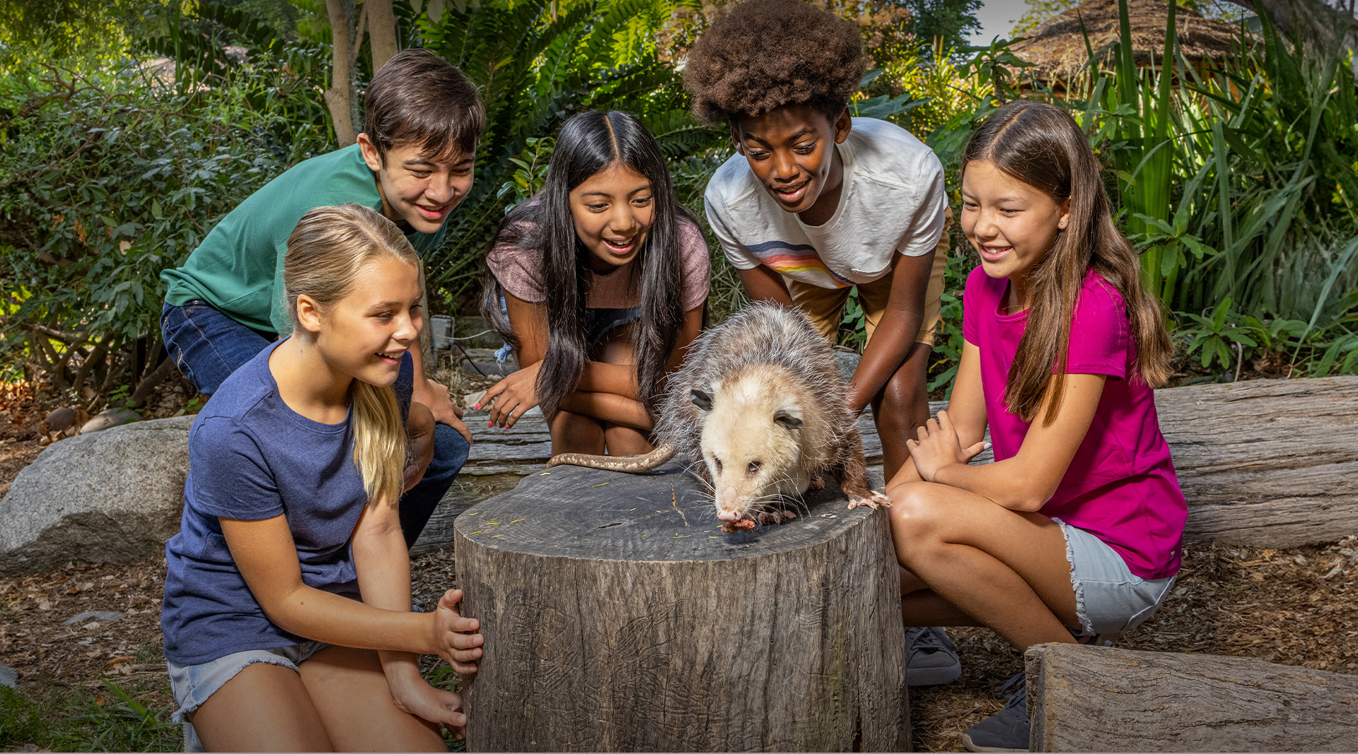 youths with possum