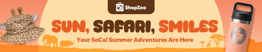 Sun Safari Smiles