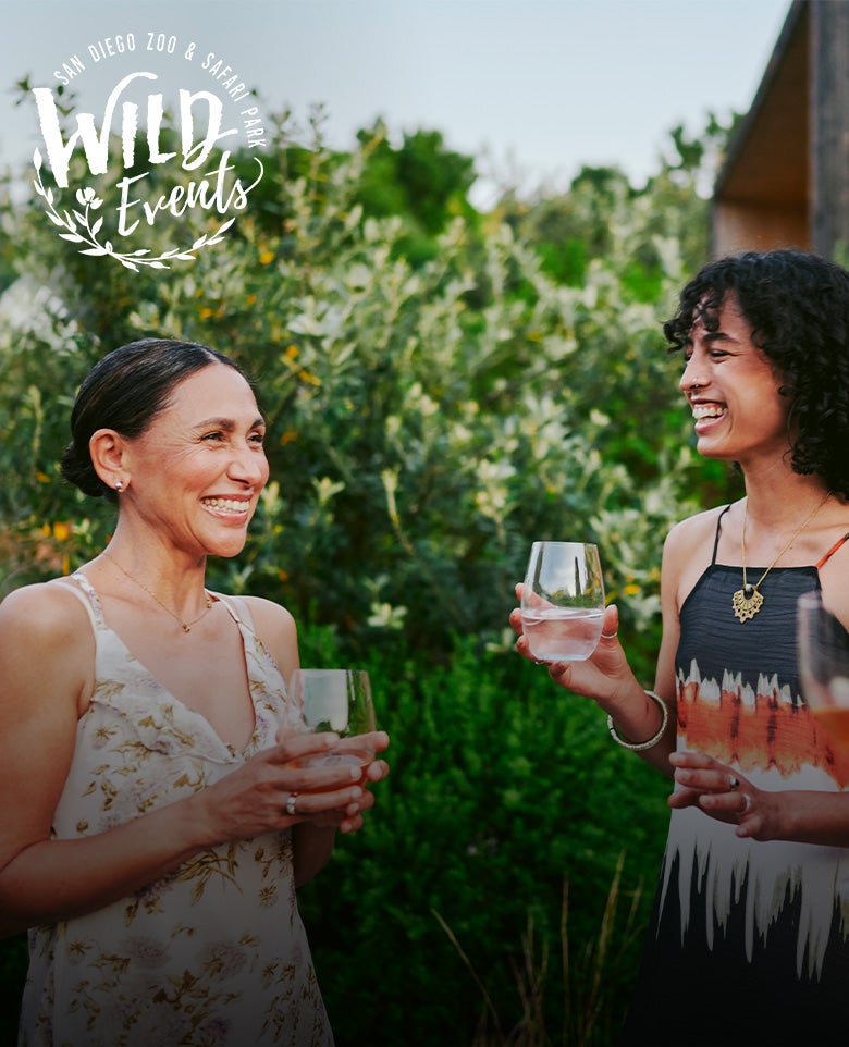 Wild Events - San Diego Zoo & Safari Park