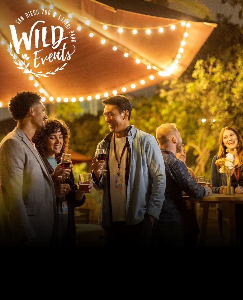 Wild Events - San Diego Zoo & Safari Park