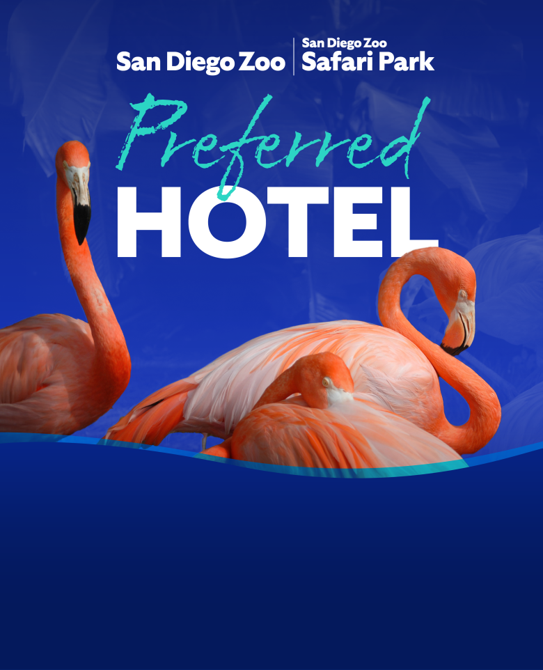 Preferred Hotel Widget