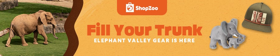 ShopZoo logo FIll your trunk elephant valley gear is here shop now