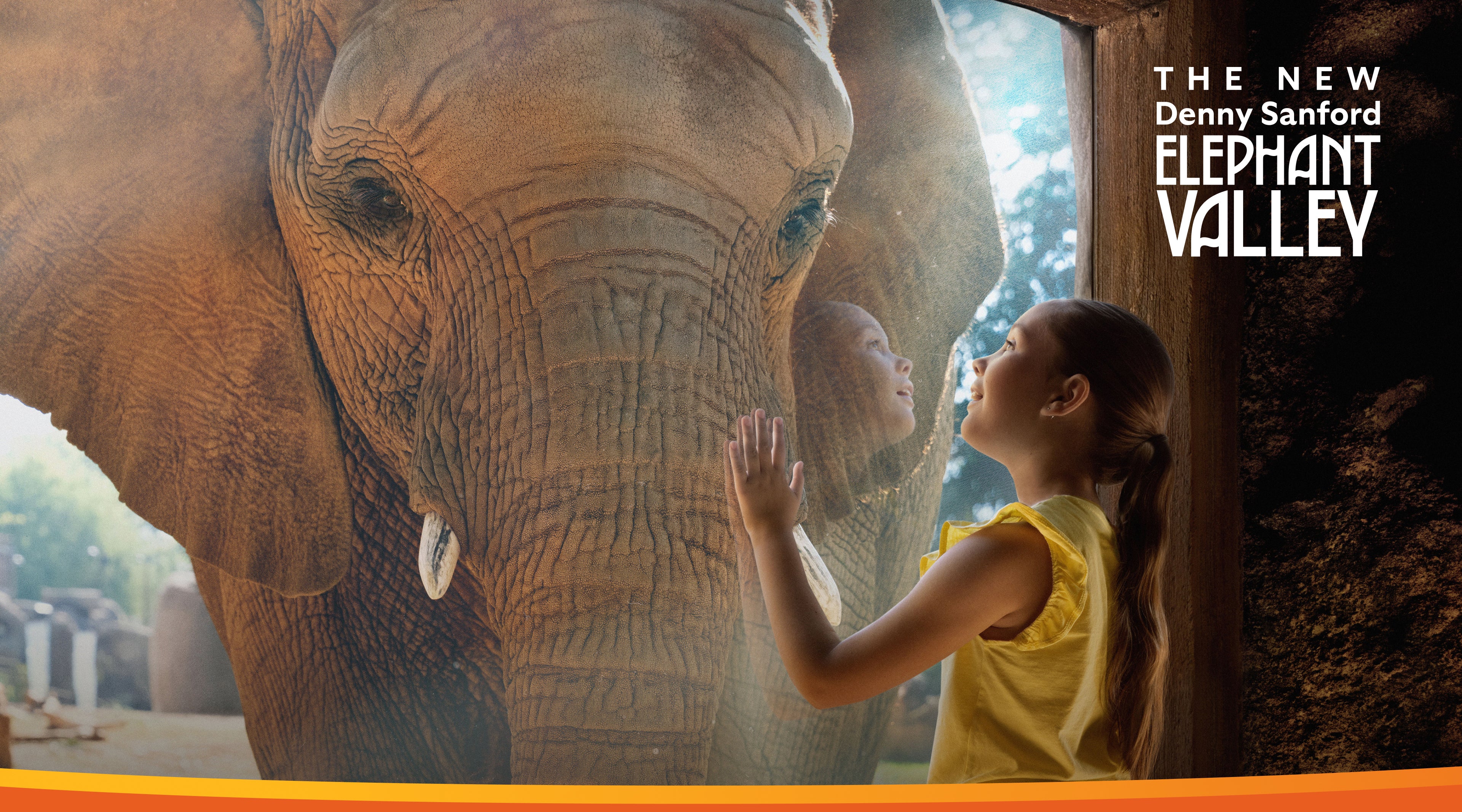 The new denny sanford elephant valley