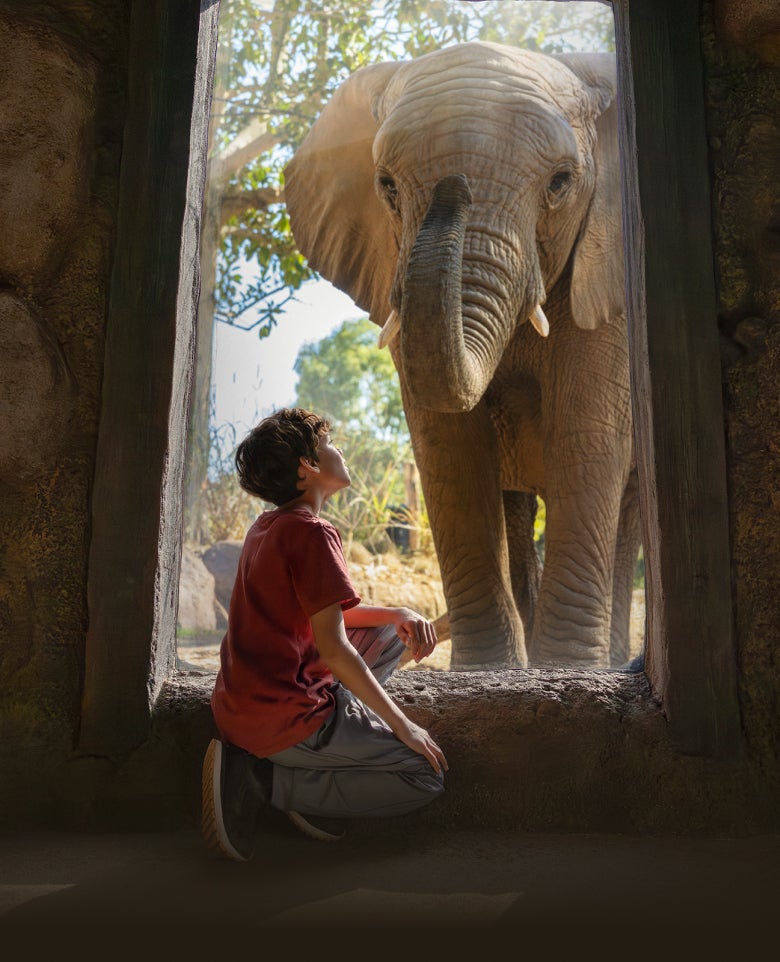 Kid and Elephant
