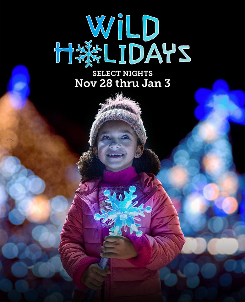 Wild Holidays 2026 Select Nights Nov 28 - Jan 3