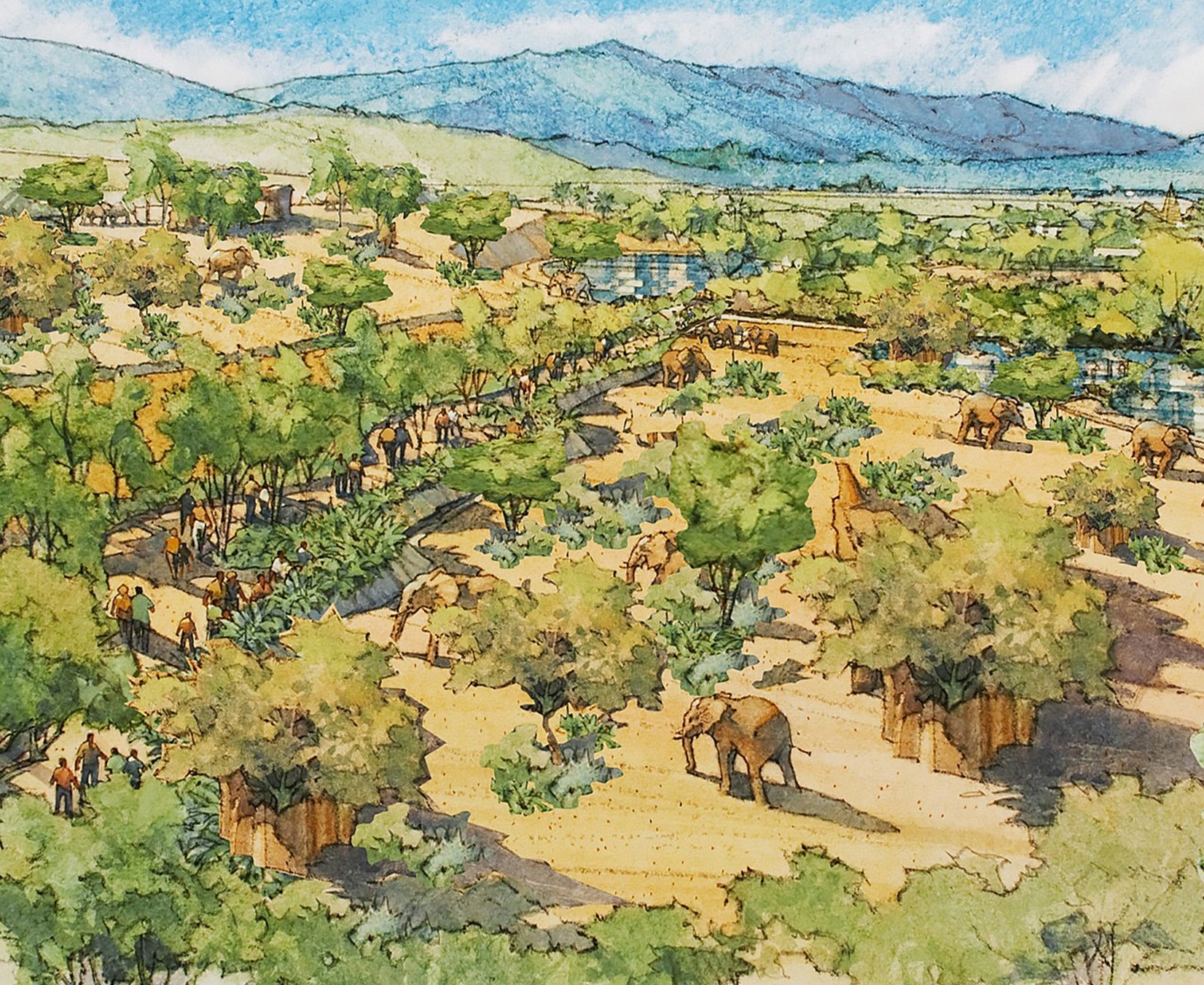 Elephant Valley Sketch