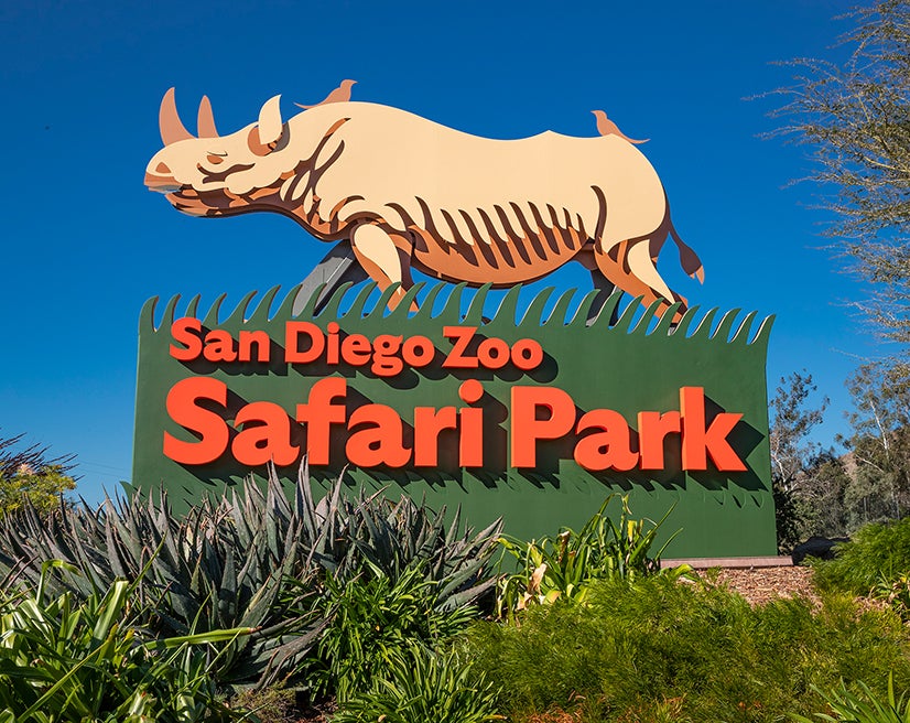 san diego zoo safari park