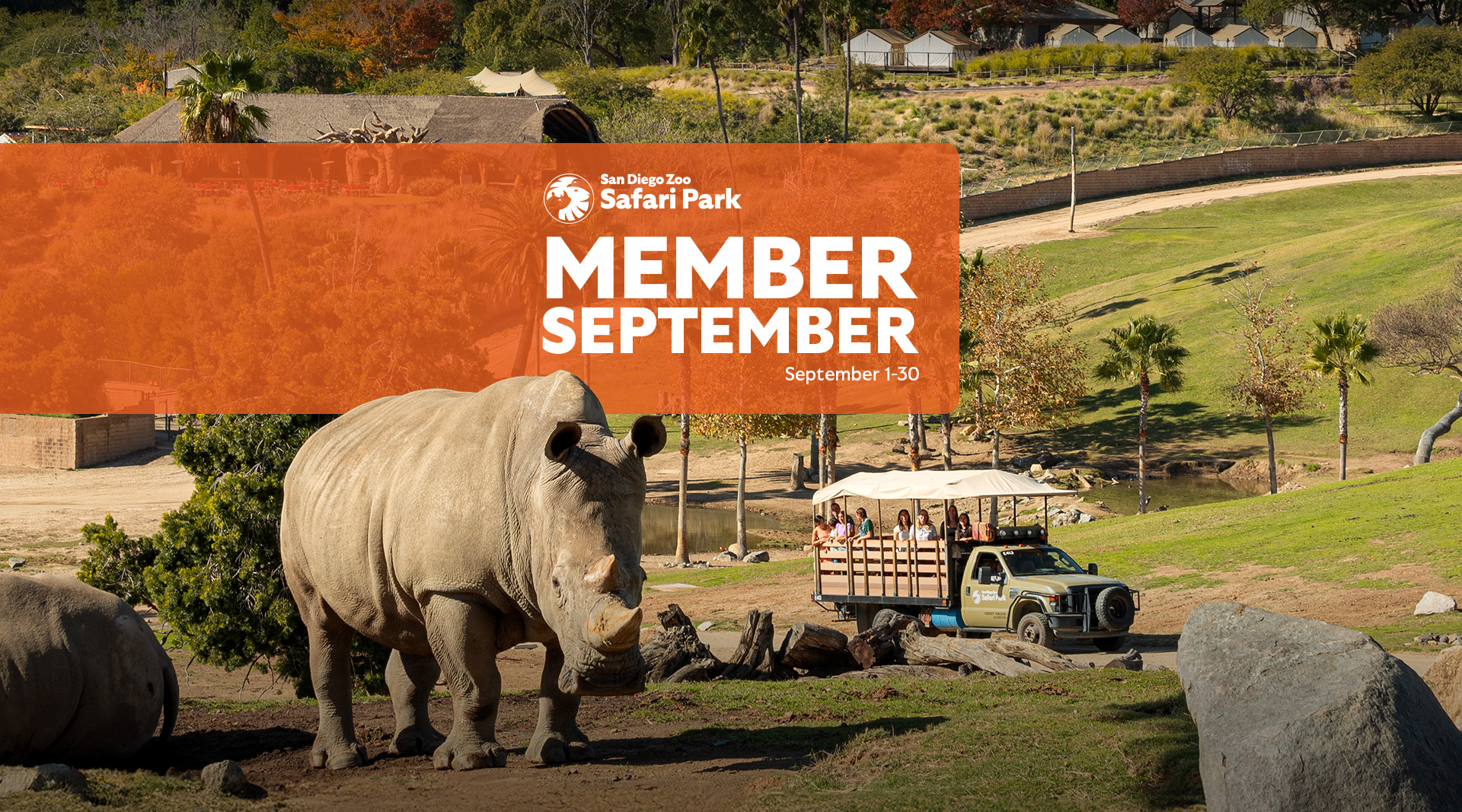 member september at the safari park