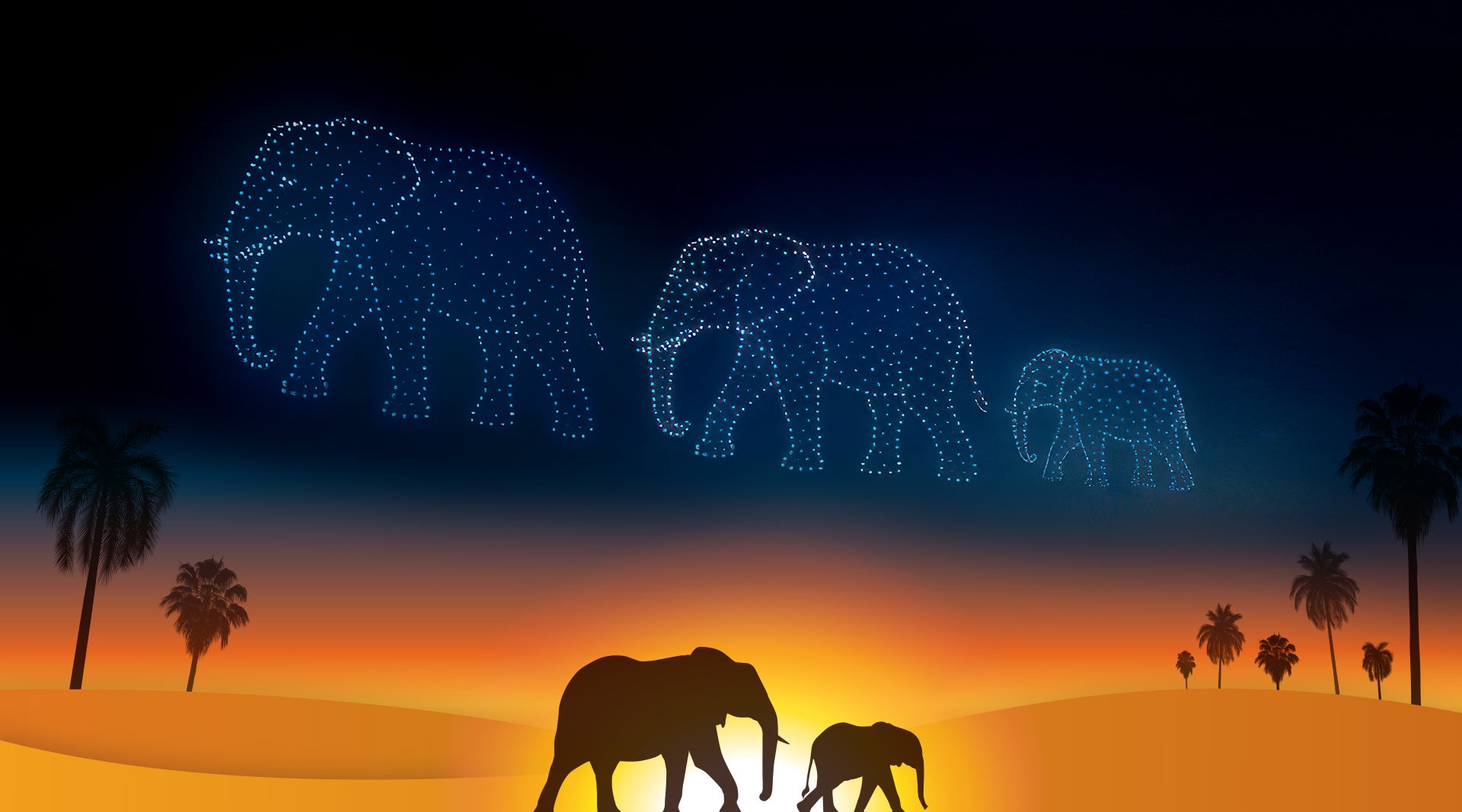 Elephant Valley Drone Show