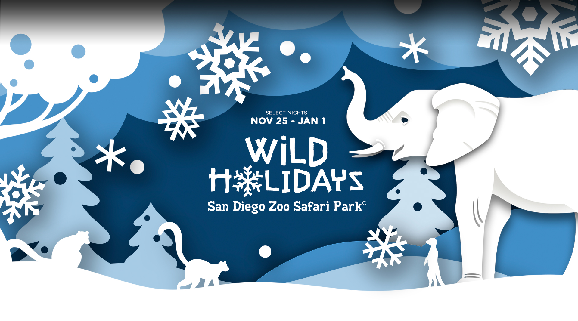 Wild Holidays San Diego Zoo Safari Park