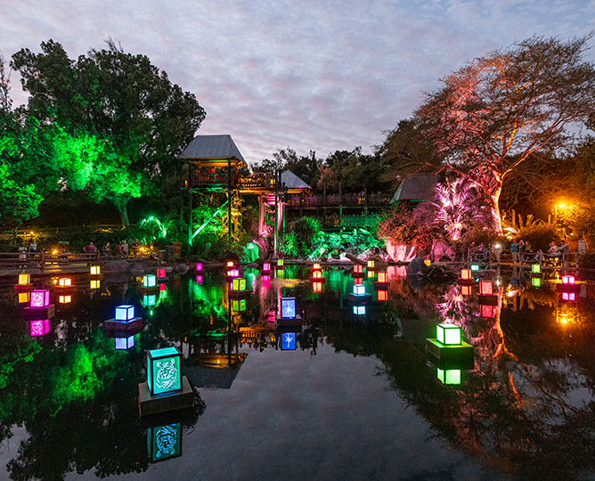 Lanterns floating on water at the Safari Park