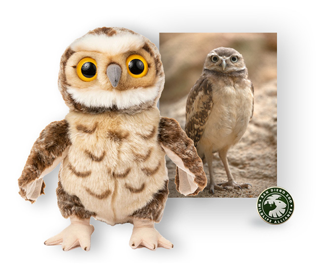 Photo of burrowing owl plush, SDZWA enamel pin, and adoption card