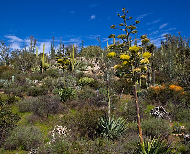 Photo of garden at the safari park