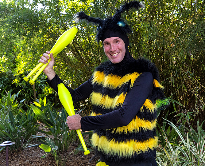 Juggler in a fuzzy bee costume posing with juggling pins 