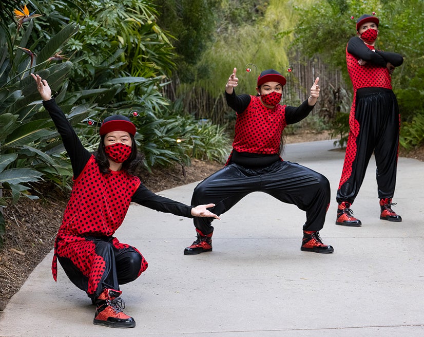 The Ladybugs—Hip Hop Dance Trio