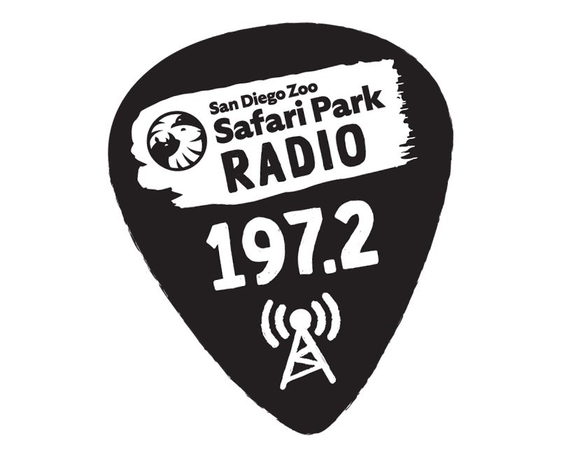 Safari Park Radio 197.2