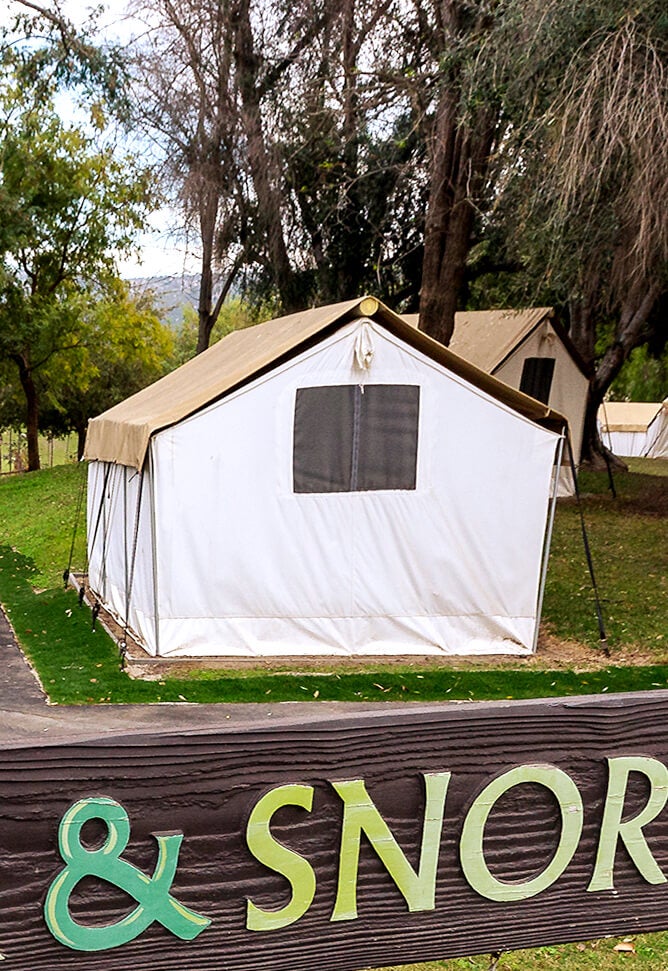 Roar & Snore Safari | San Diego Zoo Safari Park