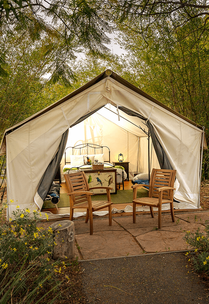 Classic Tented Safari