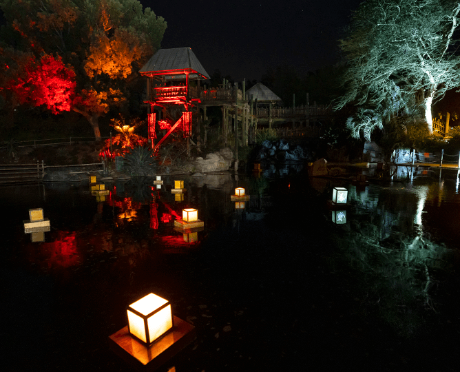 Lanterns floating on water at the Safari Park