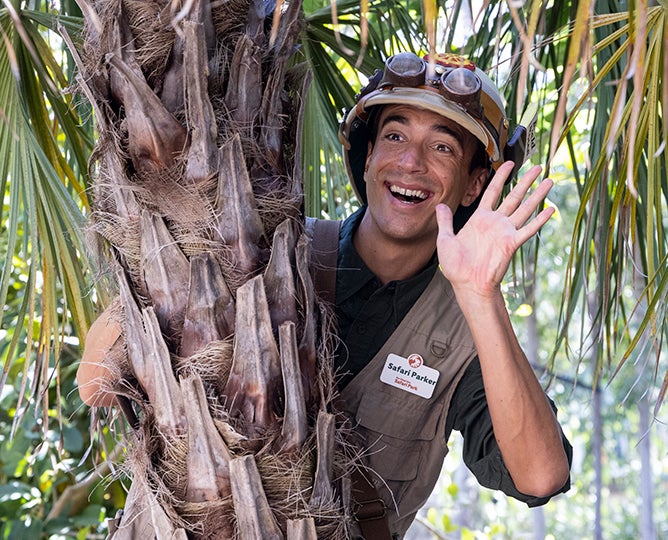 Safari Parker