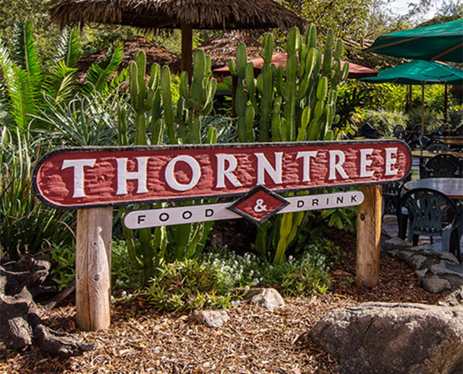 thorntree terrace