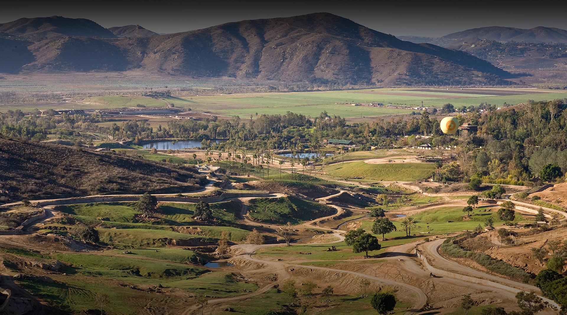 Safari Park View