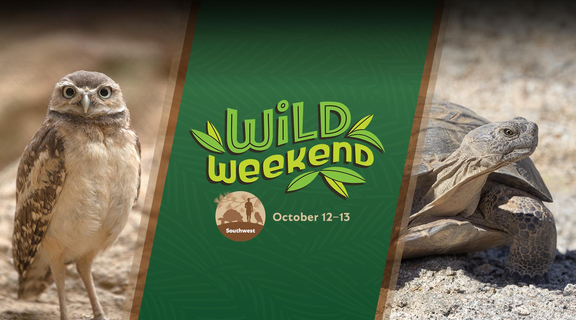 photo of burrowing owl, desert tortoise, and wild weekend logo