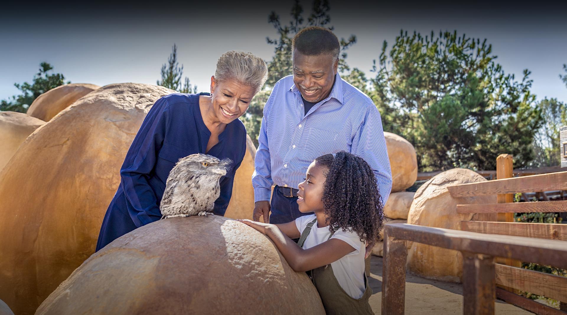 seniors with grandchild looking at a bird
