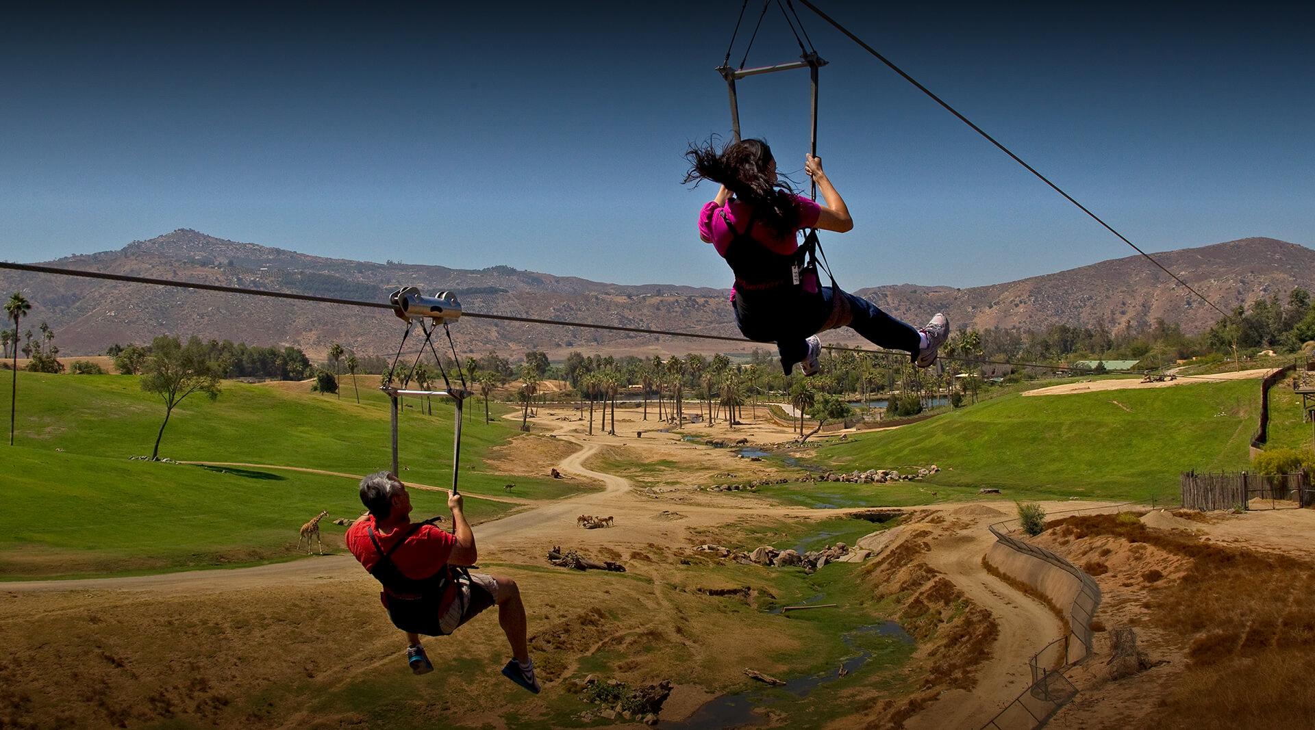 zipline safari park san diego