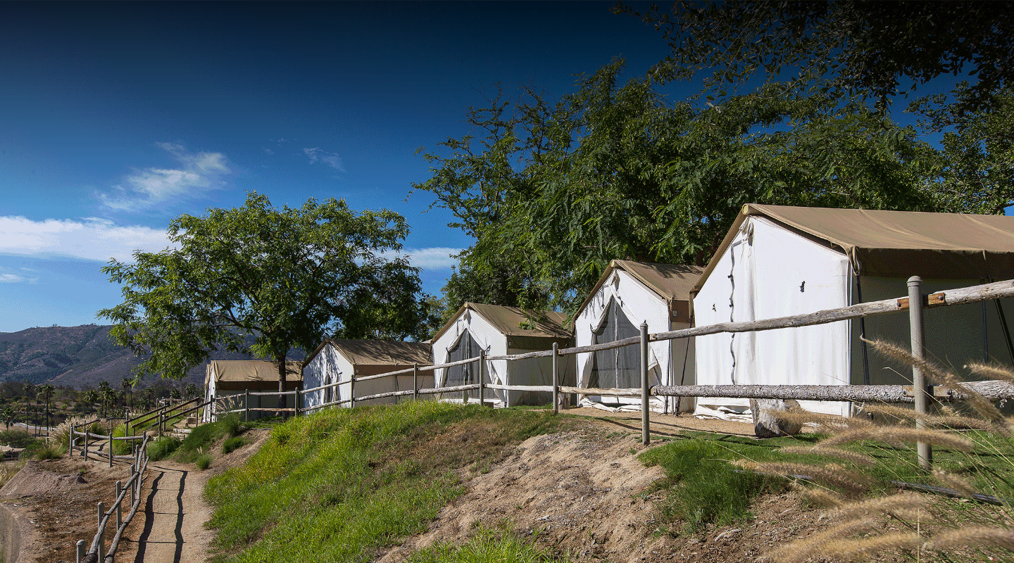 Roar & Snore camp tents