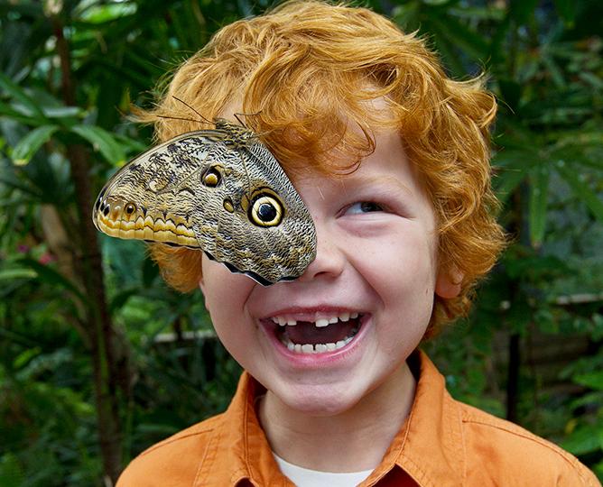 boy with butterfly
