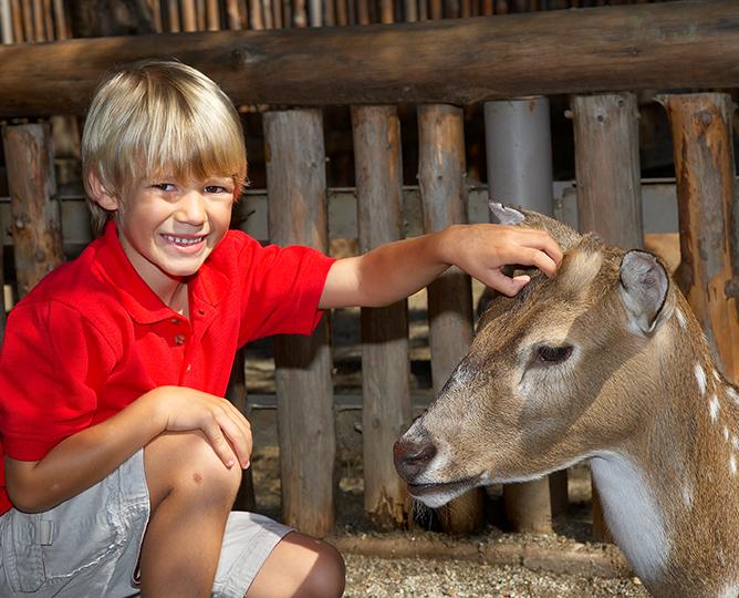 Youngster at Petting Kraal
