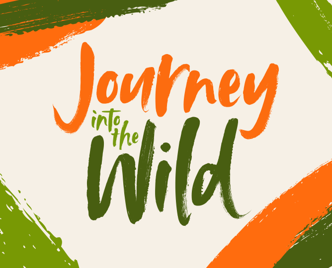 journey to the wild