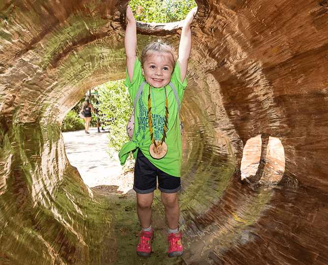 child hanging in a log