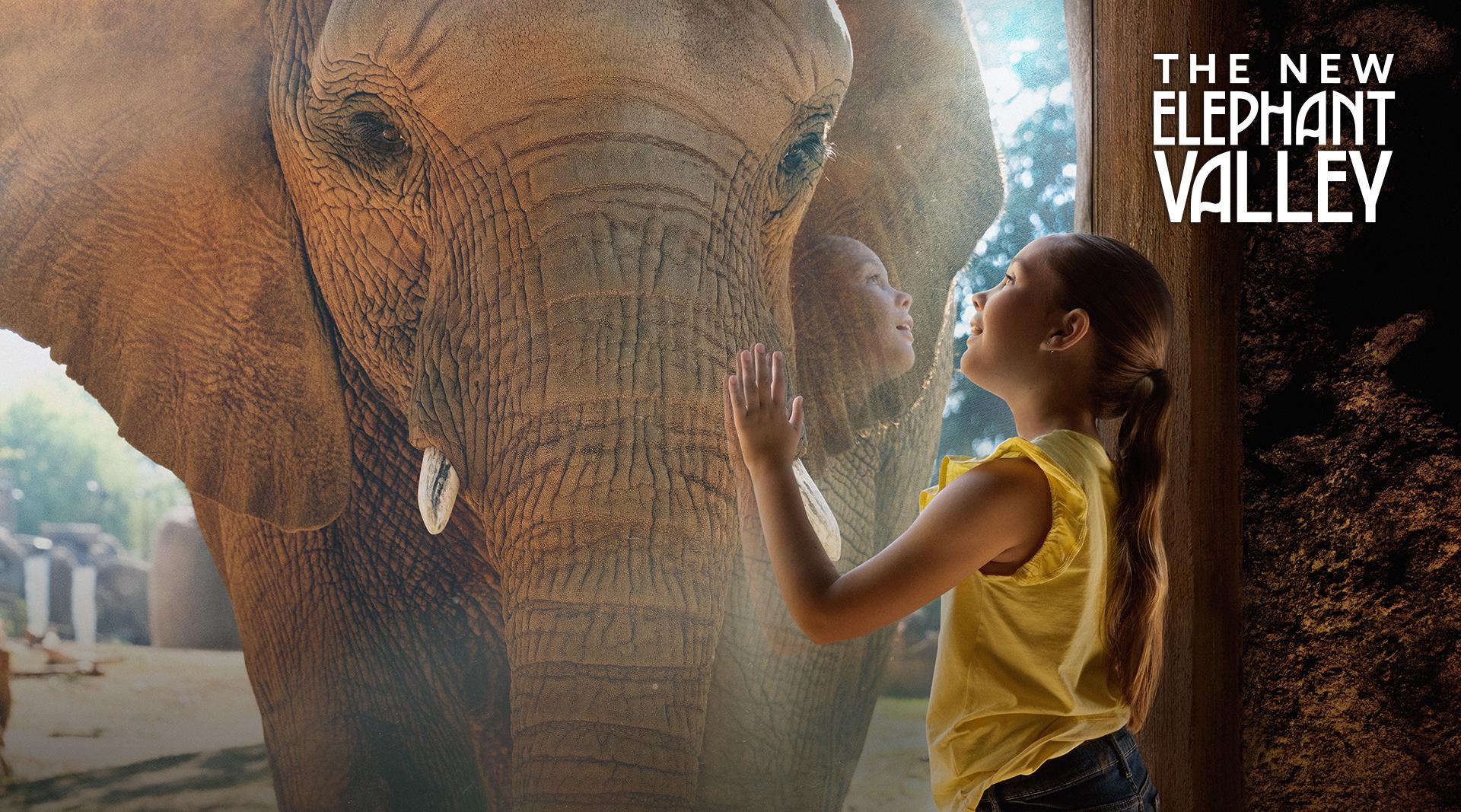 The New Elephant Valley