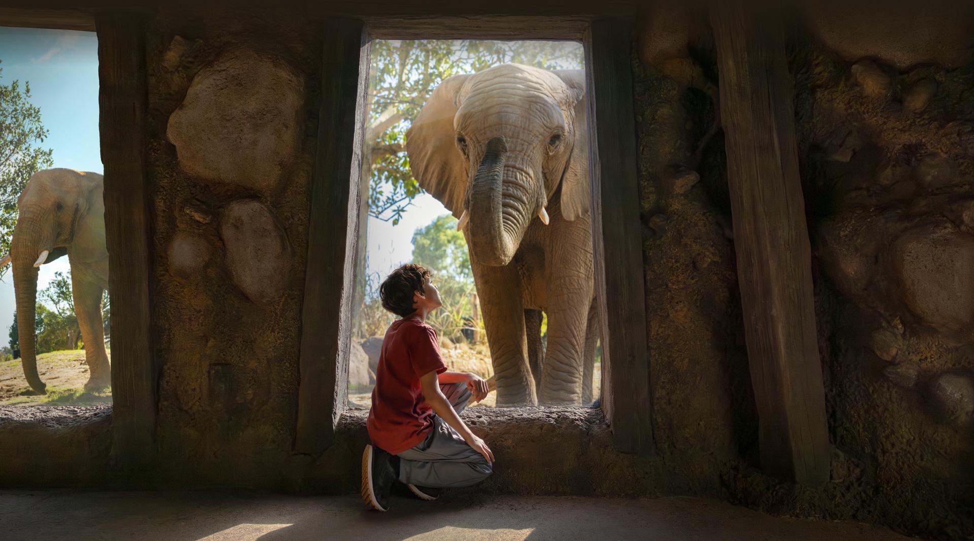 Kid and Elephant