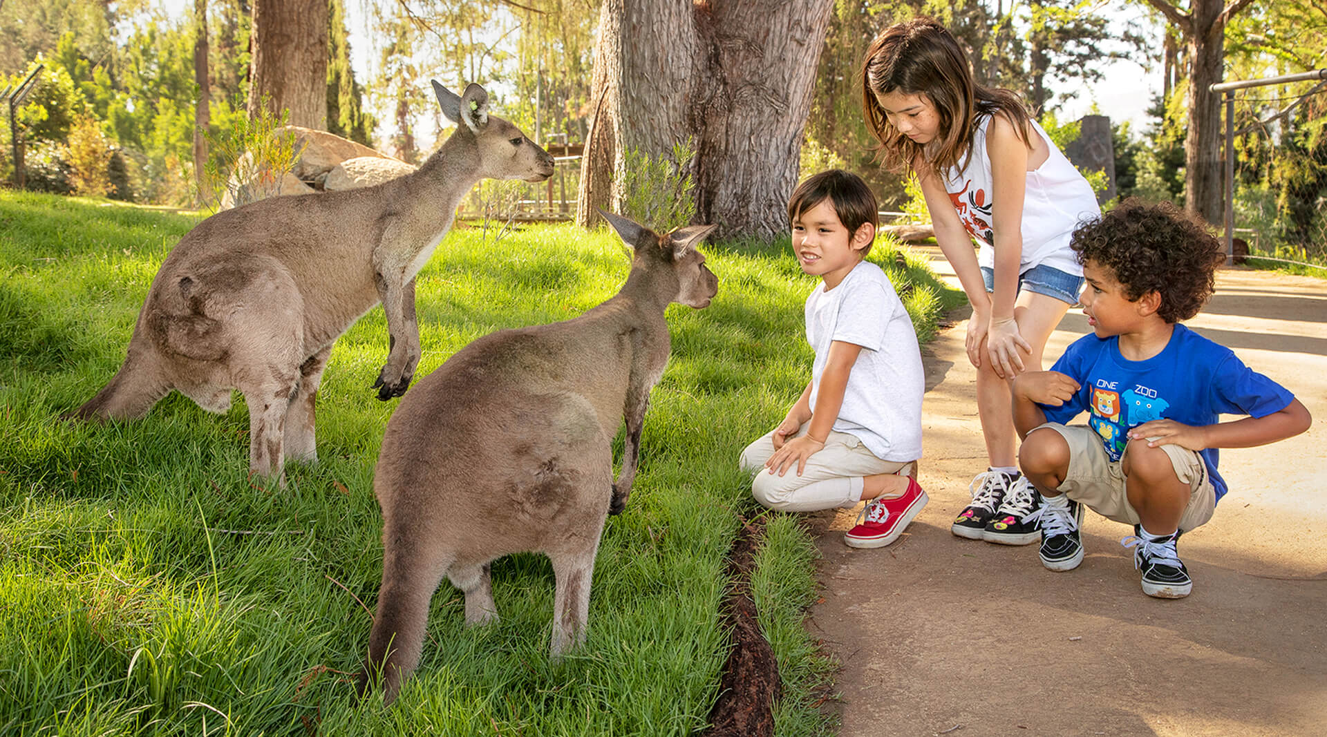 sunday at the safari park