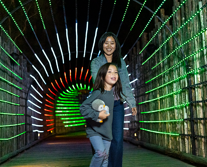 Bridge of Lights