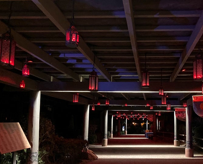 Nairobi Lantern Walk
