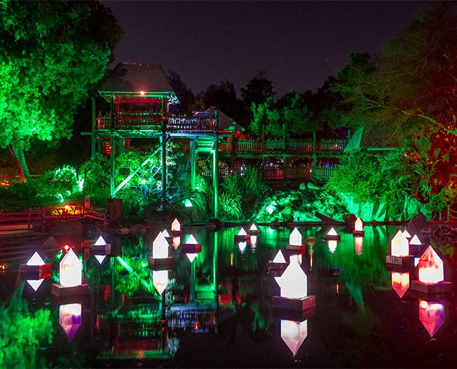 Enchanted Lagoon