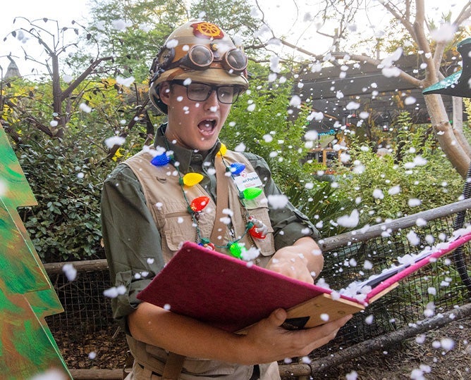 'Twas the Night before Wild Holidays